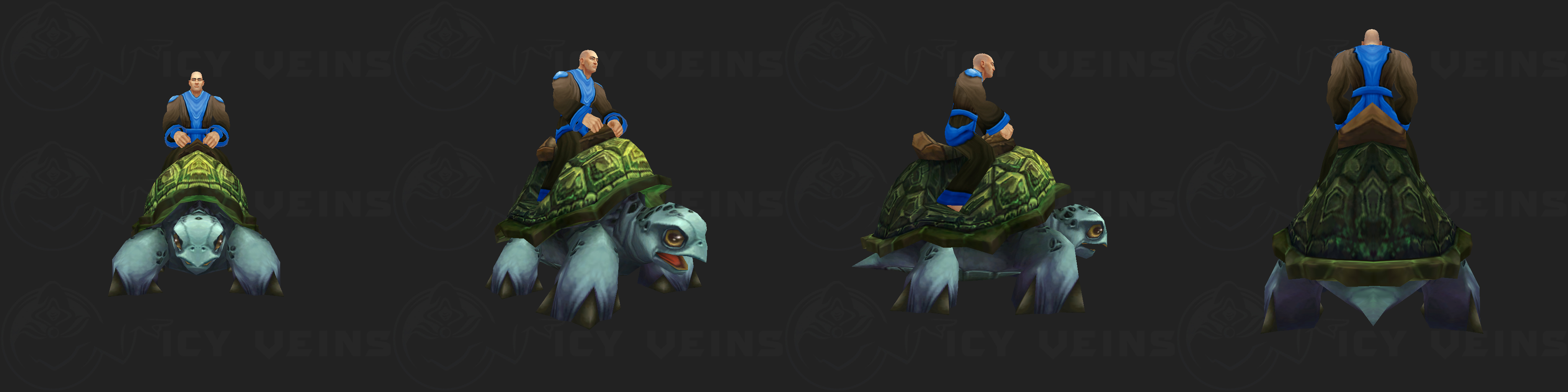 Sea Turtle.jpg